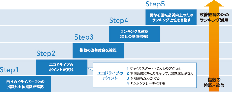 エコアンドセイフティ